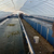 养水蛭养蚂蟥帆布水池 养鱼帆布鱼池水产养殖池缩略图3