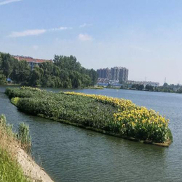 中环高科供应浮动湿地-*浮湿地-人工浮岛等生态产品