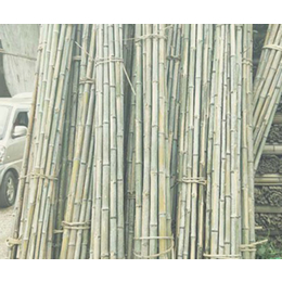 防护竹排报价-防护竹排-郴州八方竹业经营(查看)