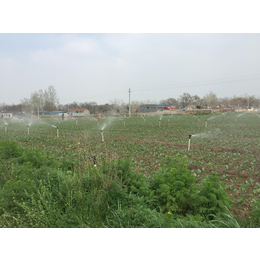 智慧灌溉农业物联网-物联网业务，兵峰电子