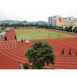 全塑型跑道修建-晋城全塑型跑道-山西绿健塑胶