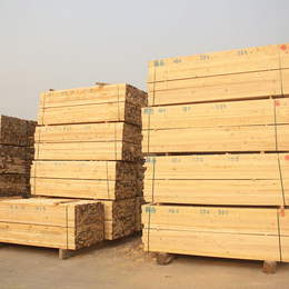 铁杉建筑木材出售-铁杉建筑木材-森发木材木龙骨(查看)