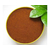 生化黄腐酸钾-济宁润田生物厂家-生化黄腐酸钾在黄瓜的应用缩略图1