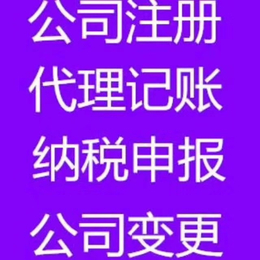 广西和飞(图)-公司工商注册*-防城港注册*