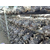 湖北千宝食用菌(图)-平菇栽培技术-沙洋平菇缩略图1
