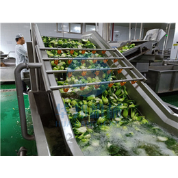 气泡蔬菜清洗机厂家-达州蔬菜清洗机-华邦机械(图)
