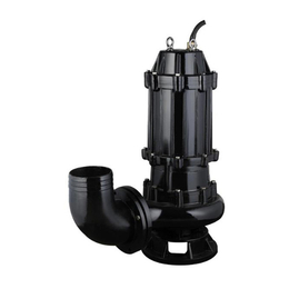 临泉泵业污水泵报价(图)-小型污水泵型号-铁岭小型污水泵