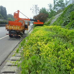 金力机械*定做-贵州高速公路绿化修剪机
