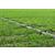 禾众绿霖(图)-农业滴灌管材-咸宁农业滴灌缩略图1