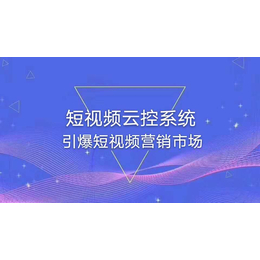 短视频智控系统实时间自动发言带节奏批量化操作缩略图