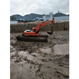 民强水陆挖掘机(在线咨询)-广州水库清淤机械租赁