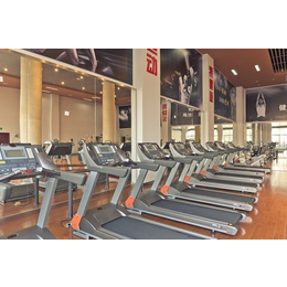 巴彦淖尔室内健身器材-户外大有健身器材-室内综合健身器材
