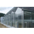 齐鑫温室园艺-阳光板温室大棚施工-阳光板温室大棚施工队缩略图1