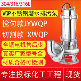 中型污水泵定制-山东中型污水泵-临泉泵业污水泵价格