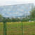 绿色工地护栏网 框架浸塑护栏网 绿色双边丝护栏网厂家缩略图4