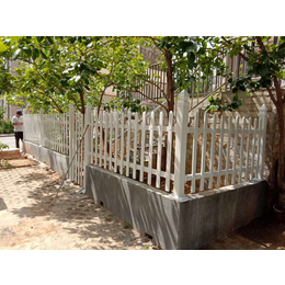 供应厂家2020新款PVC护栏塑钢围栏庭院护栏缩略图
