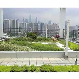 屋顶绿化-安徽洸森绿化工程-建筑物屋顶绿化