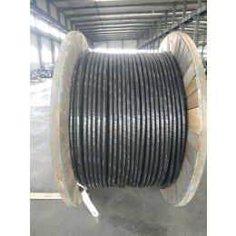 铠装电缆-天津南洋电缆-铠装电缆价格