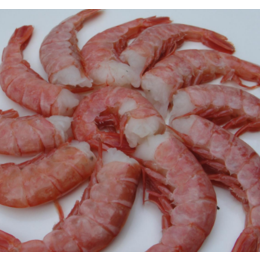 阿根廷红虾进口报关的注意事项