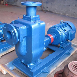 东营ZW80-25-40自吸排污泵-自吸泵用途(在线咨询)