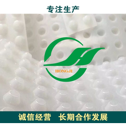 深圳高分子车库绿化HDPE滤水板型号