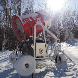 哪种雪质更适合滑雪场使用 国产小型人工造雪机厂家