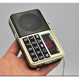 德旺电子-插卡收音机-L-238插卡收音机*