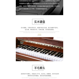 钢琴课培训-钢琴-苏州联合琴行(查看)