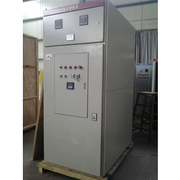 高压启动柜厂家-向明电气(在线咨询)-重庆高压启动柜