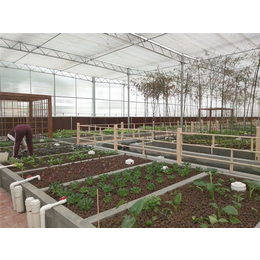 智能温室-青州瀚洋农业-智能温室菜棚