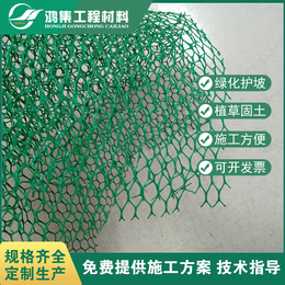 咸宁绿色三维植被网坡面防护网便宜供应缩略图