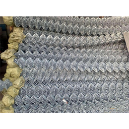 河北霸鑫丝网-菱形网-镀锌菱形钢板网规格