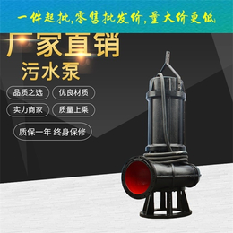 天津不锈钢潜水排污泵-中蓝泵业(在线咨询)-污水泵