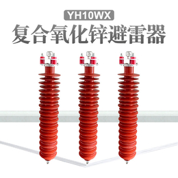 间隙氧化物避雷器YH10CX-102-296型号齐全柳市发货缩略图