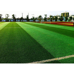 世纪宏达(在线咨询)-足球场人造草坪-足球场人造草坪施工