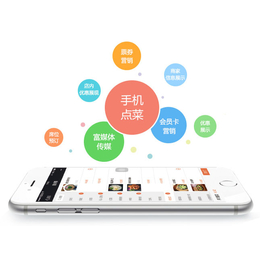 苏州惠商电子科技(图)-餐饮软件价格-太仓餐饮软件