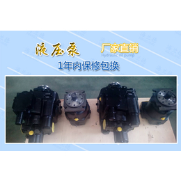 PV30液压泵生产厂家-阜新PV30液压泵-山东海兰德液压