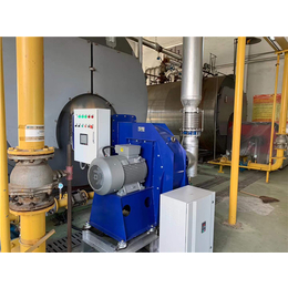 低氮燃烧器厂家-无锡布尔泰能源(在线咨询)-铁岭低氮燃烧器