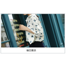 广州女士衬衫定制-艾菲扬服装厂品质保证-雪纺女士衬衫来图定制