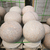 大理石挡车石球出售-中良石业圆球(在线咨询)-大理石挡车石球缩略图1
