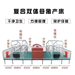 定做产床养殖设备 双体复合母猪产床厂家 分娩床养殖设备