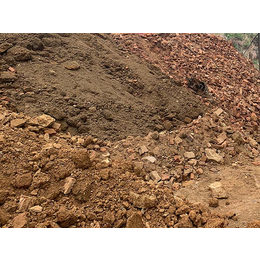 沙石土土壤细碎-天龙漳州打土机(在线咨询)-土壤细碎