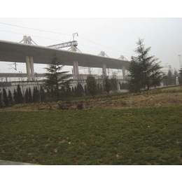 亳州园林绿化-百通生态环境工程公司-城市园林绿化
