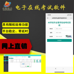 线上考试系统平台服务  大通湖区电子在线考试软件