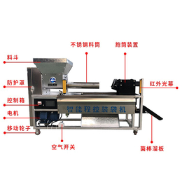 蘑菇香菇自动包装机哪家好-随州鸿宇机械设备