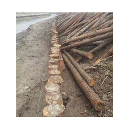 河道木桩多少钱-无锡河道木桩-佳拓木业(多图)