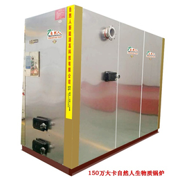 3吨生物质锅炉价钱-安徽省生物质锅炉价钱-郴州自然人(查看)