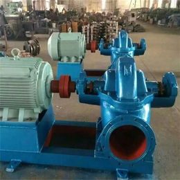 源润水泵厂家-上海双吸泵-s型双吸离心泵
