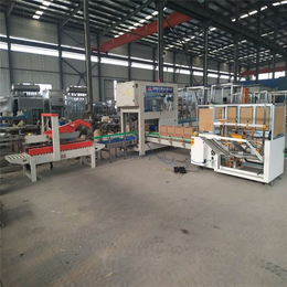 青州鲁泰灌装机生产线(多图)-自动装箱机-陕西装箱机