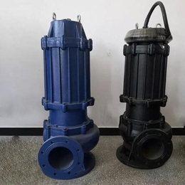 灵谷水泵(在线咨询)-衢州污水泵-8寸污水泵